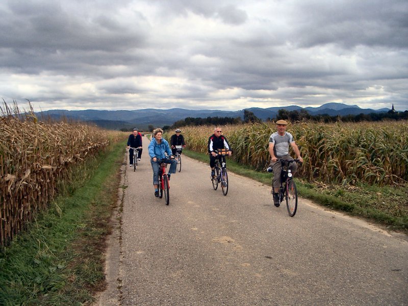 active_power_2006_02