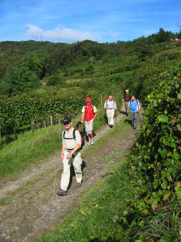 active_power_2006_13