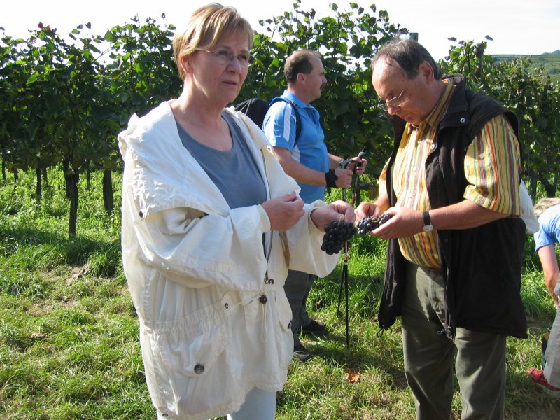 active_power_2006_15