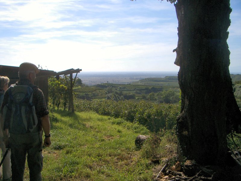 active_power_2006_16