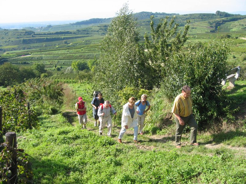 active_power_2006_17