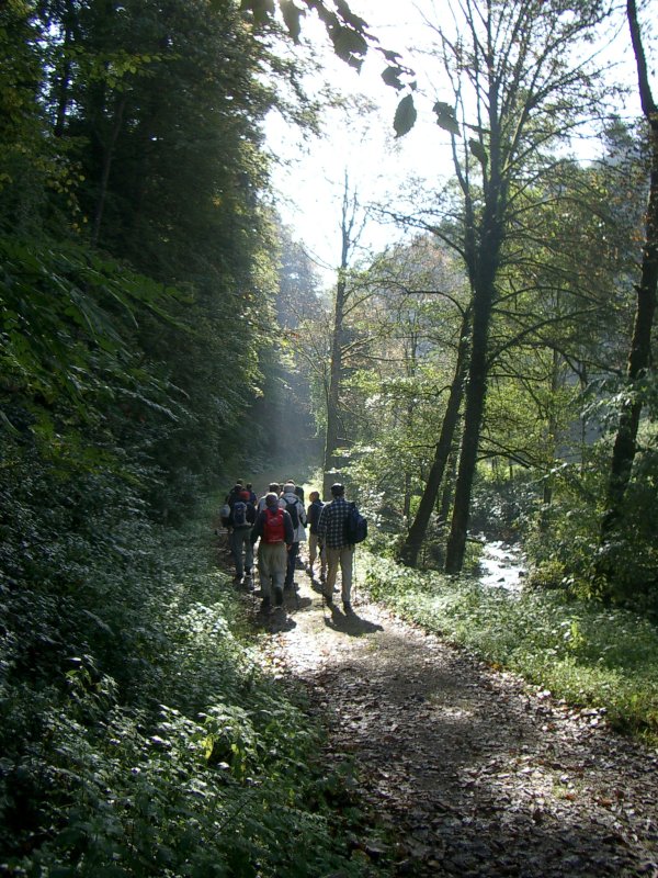 active_power_2006_57