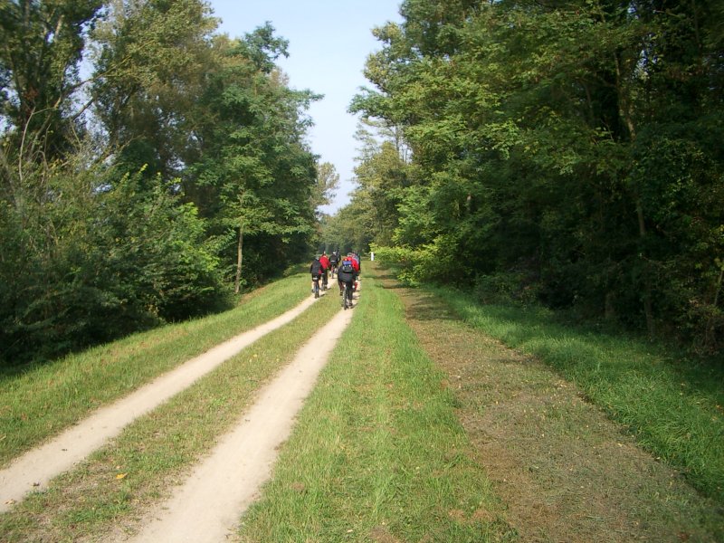 active_power_2007_91