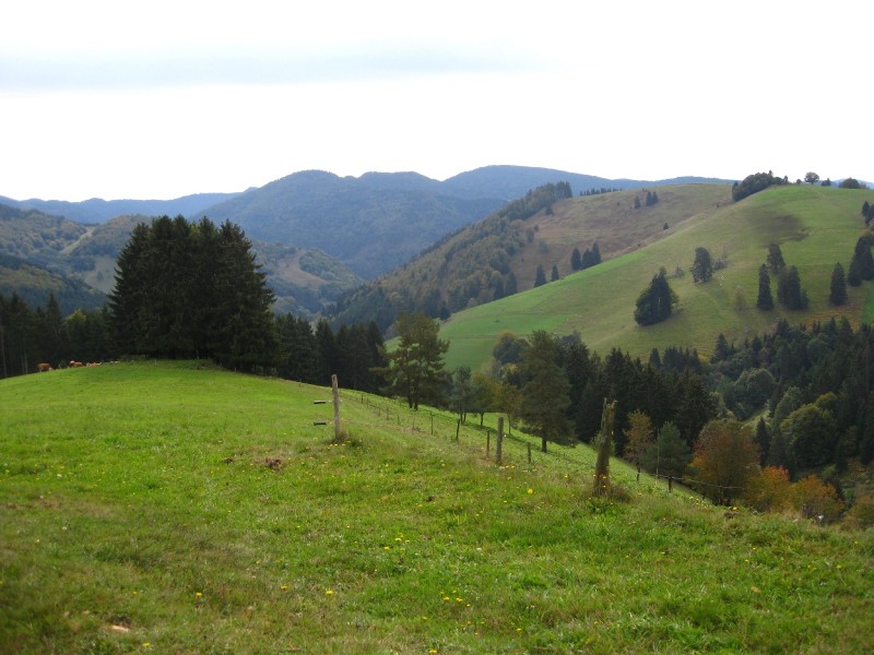 active_power_2012_205