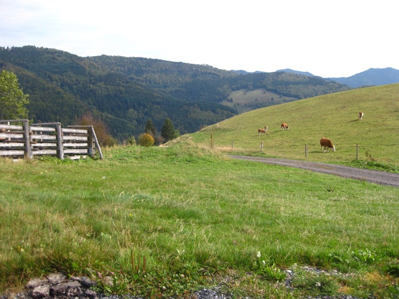 active_power_2012_209