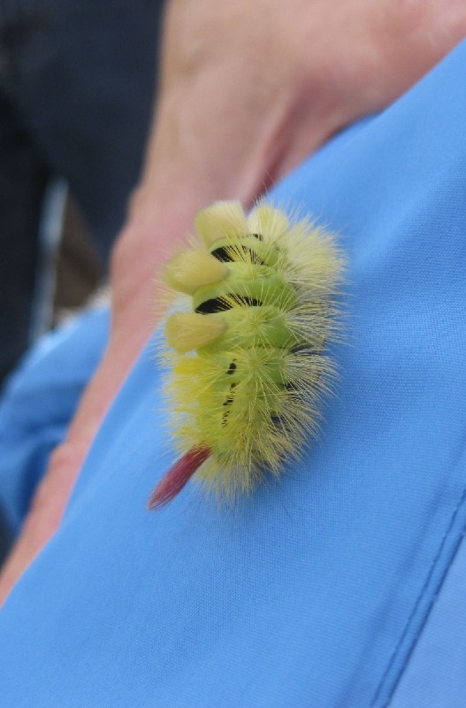 active_power_2012_210