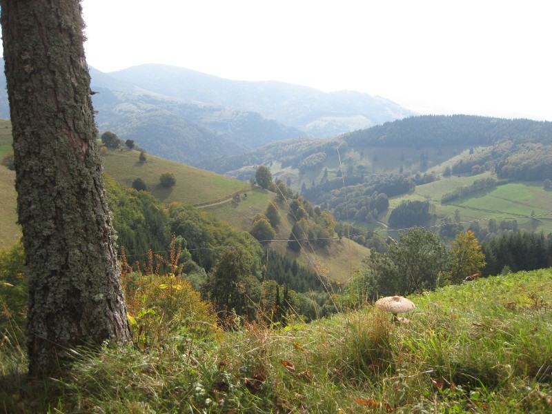 active_power_2012_211