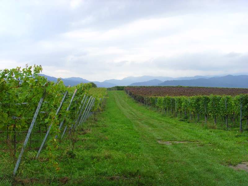 active_power_2013_147