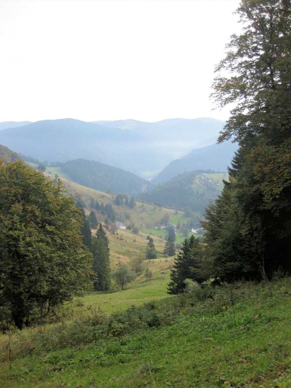 active_power_2013_182