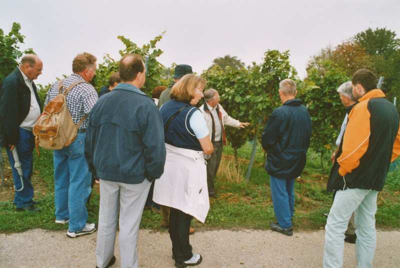 active_power_2013_207