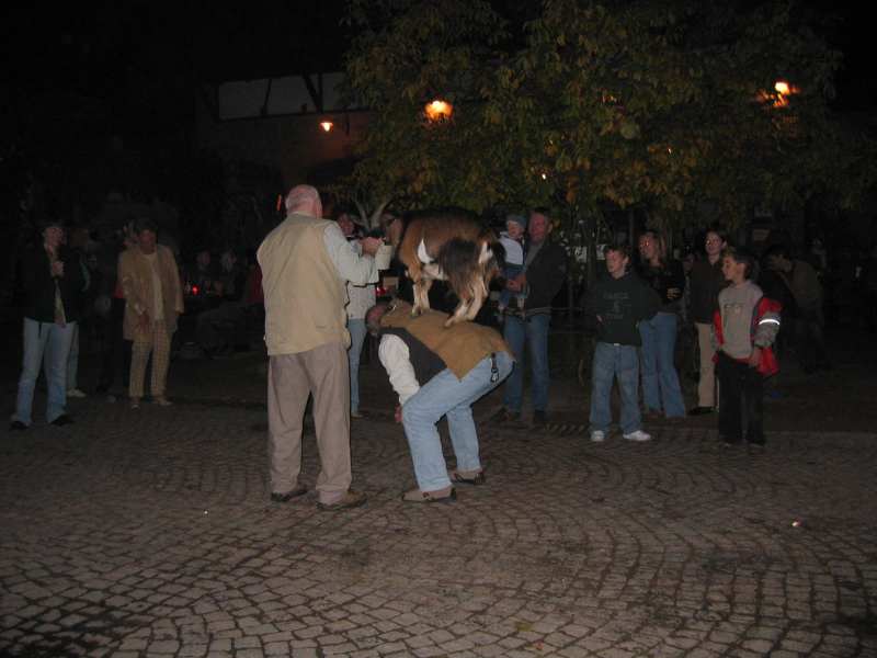 active_power_2013_214