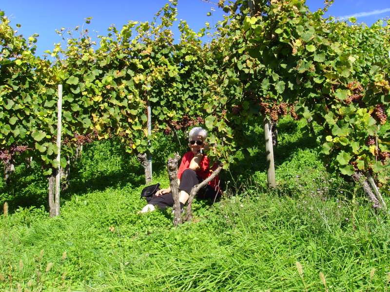 active_power_2013_236