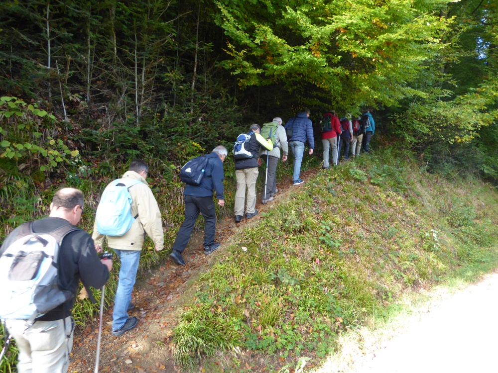 active_power_2017_146