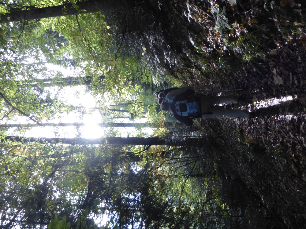 active_power_2017_147