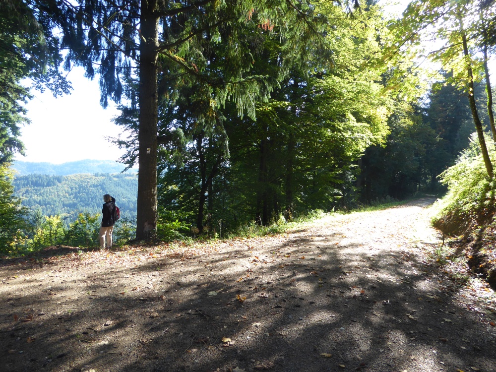 active_power_2017_149