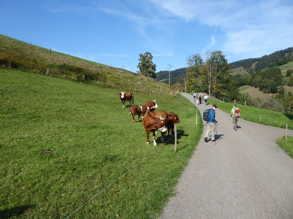 active-power-2018-42