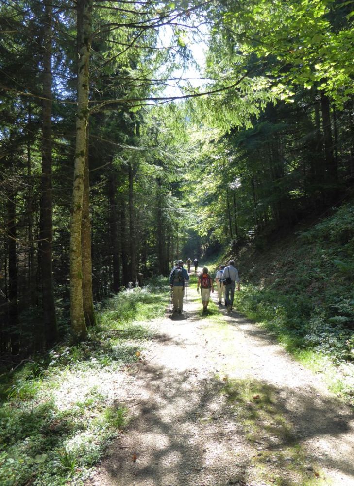 active-power-2018-46