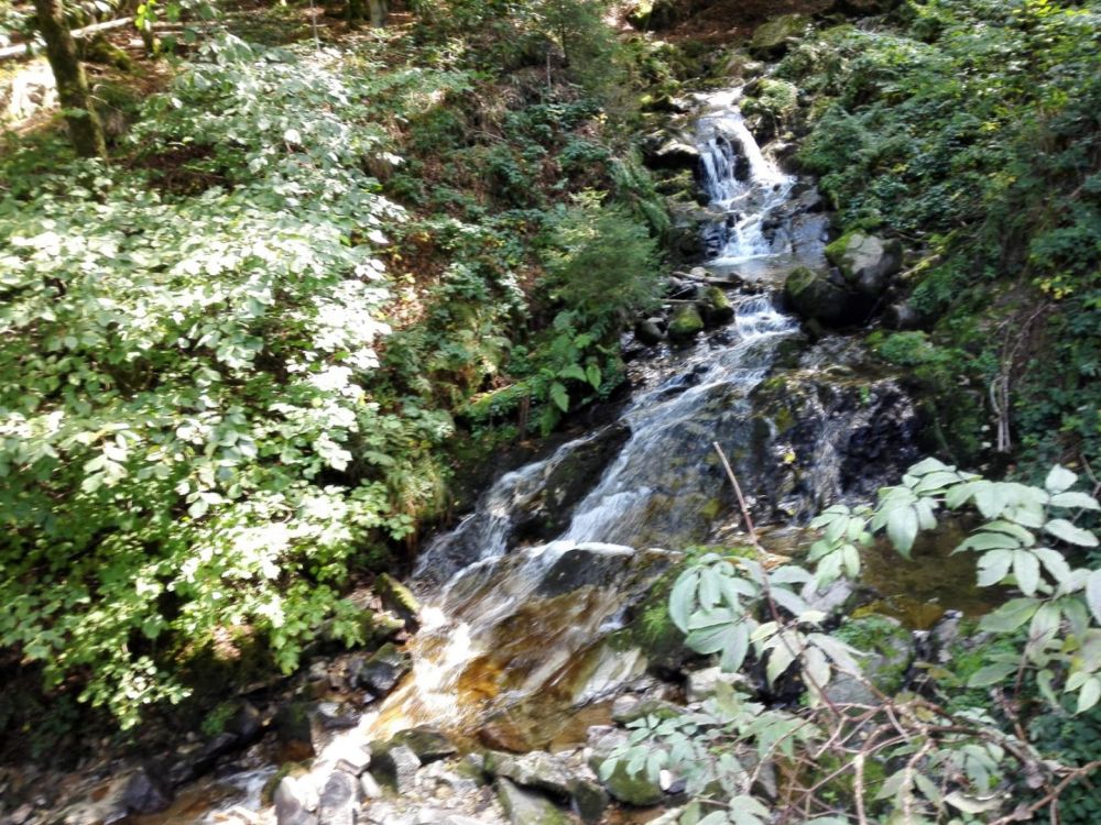 active-power-2018-48