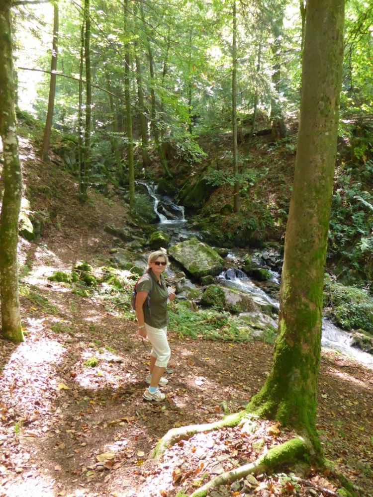 active-power-2018-49