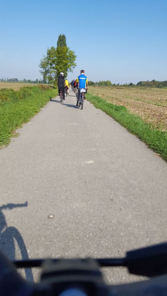 active-power-2018-52