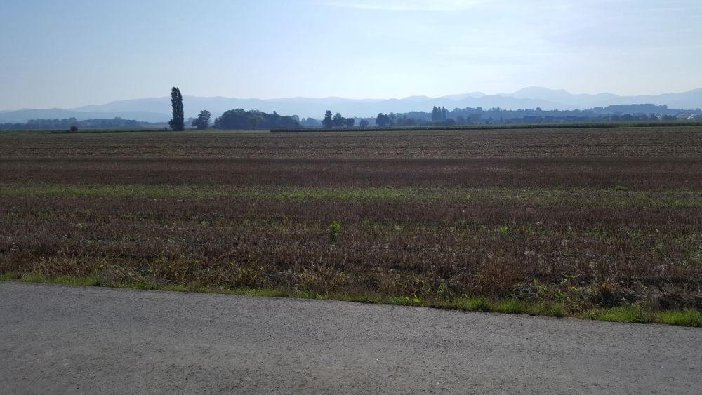 active-power-2018-55