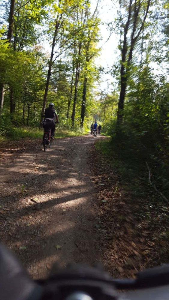 active-power-2018-57