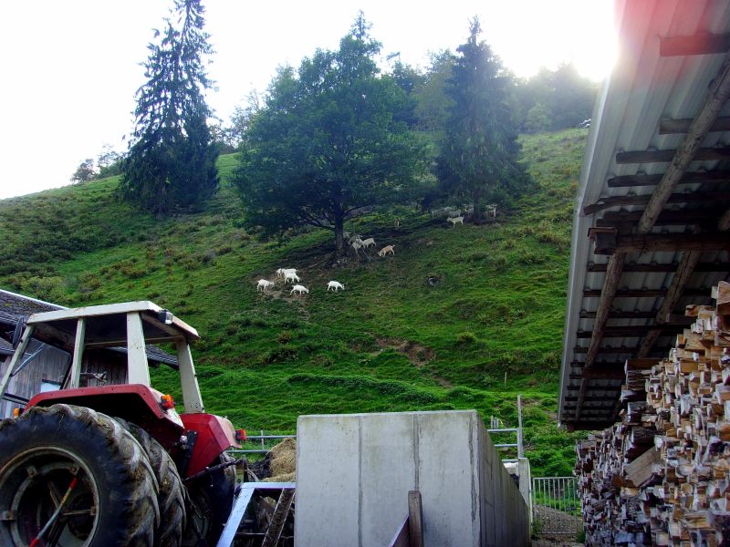 active_power_2014_071