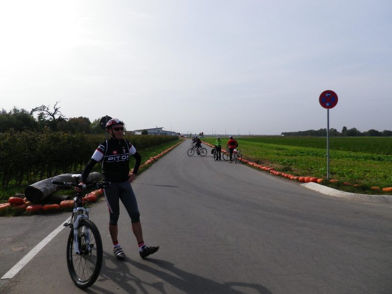 active_power_2014_093