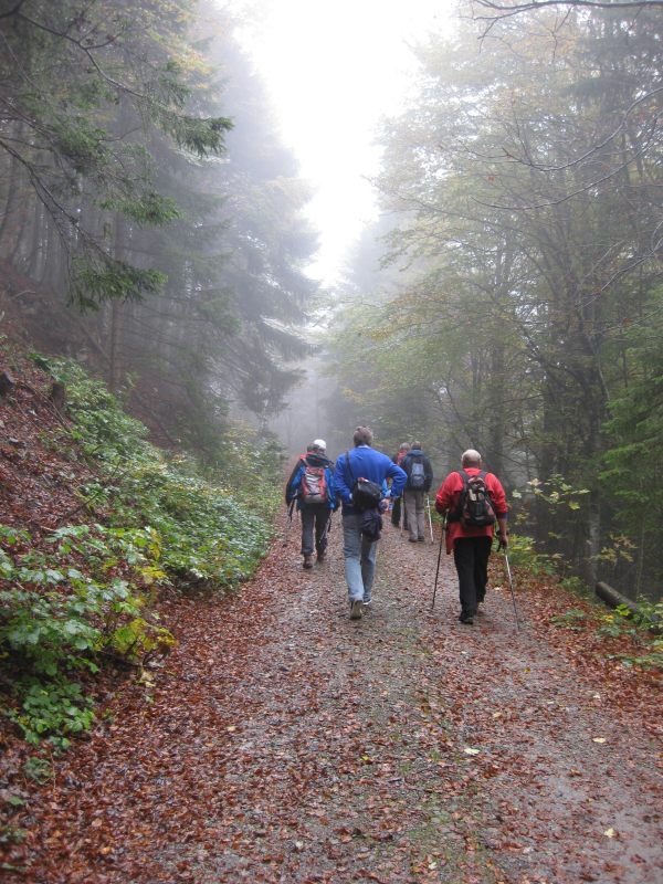 active_power_2014_189