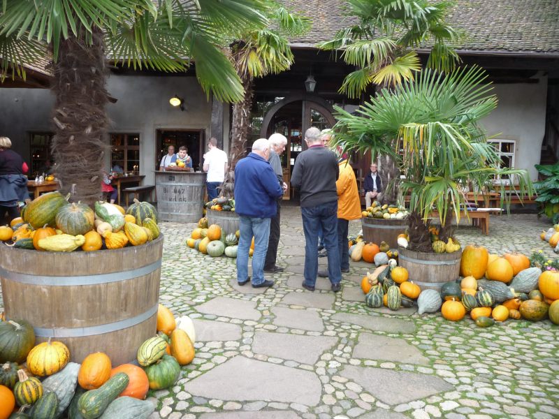 active_power_2014_202