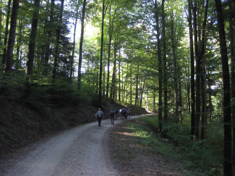 active-power-2015-028