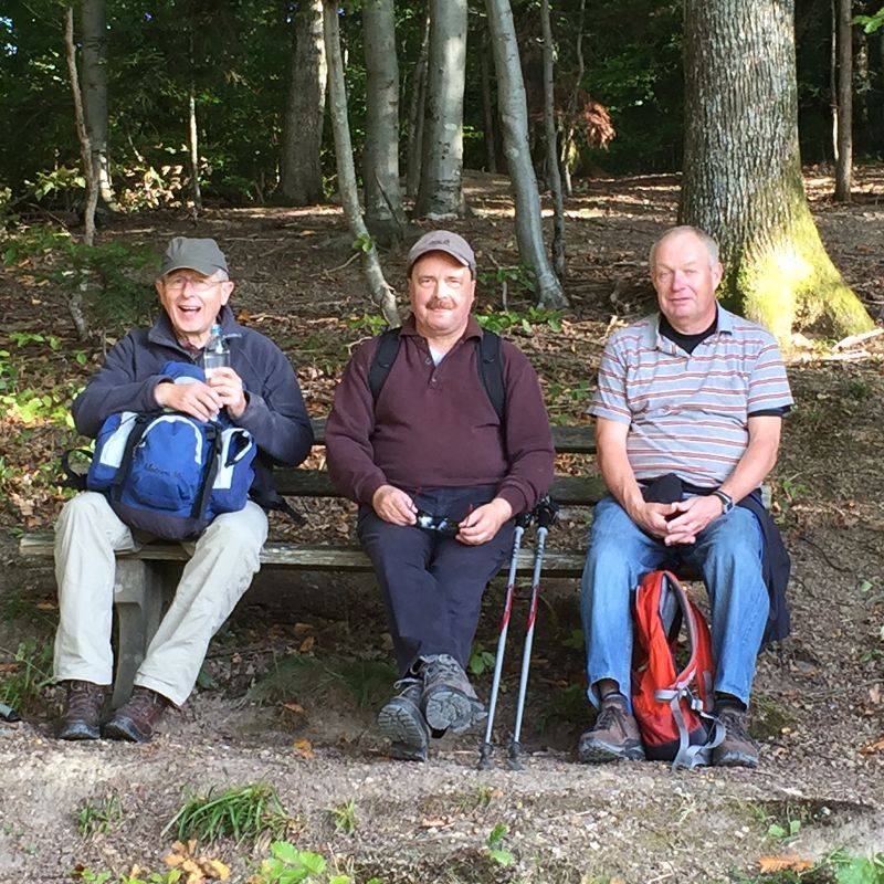 active-power-2015-031