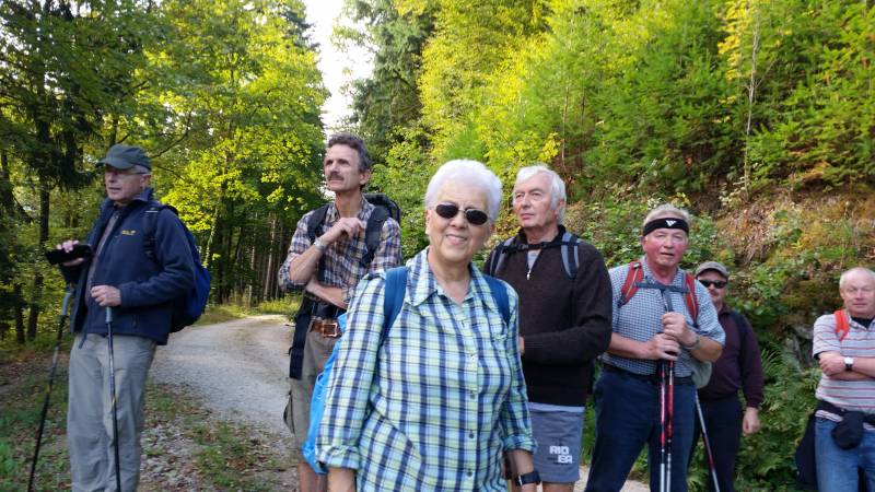 active-power-2015-033