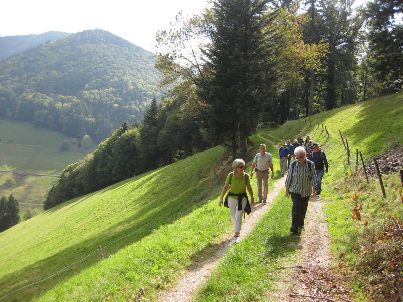 active-power-2015-035