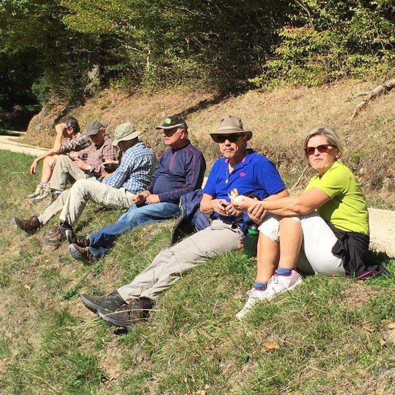 active-power-2015-041