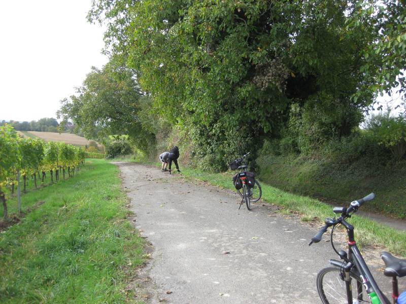 active-power-2015-121