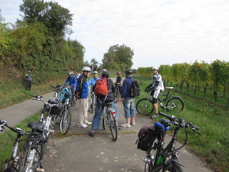 active-power-2015-122