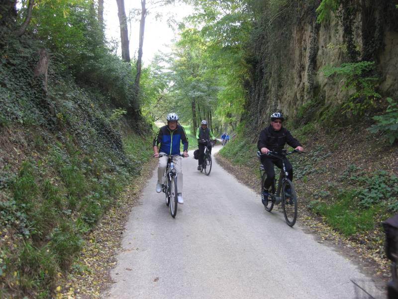 active-power-2015-123