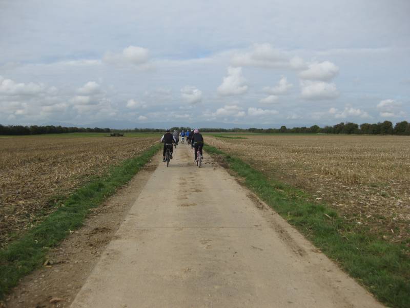 active-power-2015-127