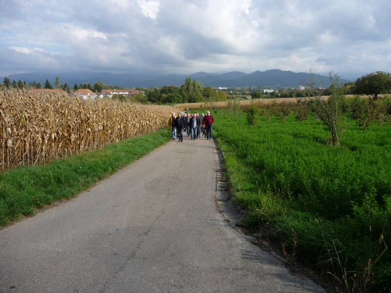 active-power-2015-159