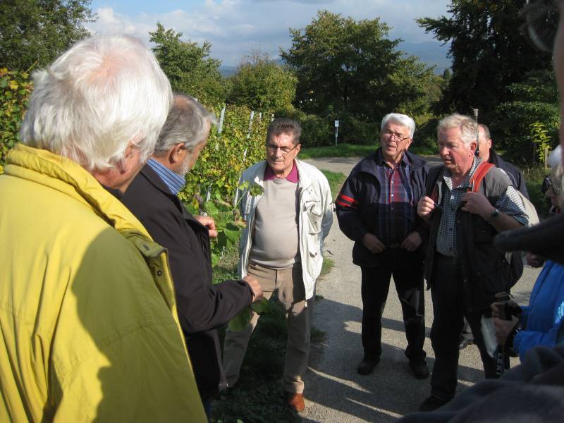 active-power-2015-160