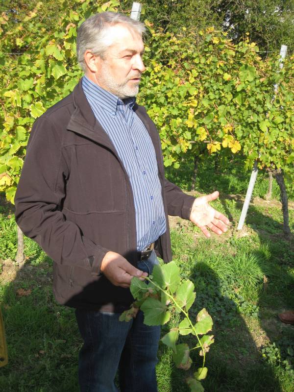 active-power-2015-161