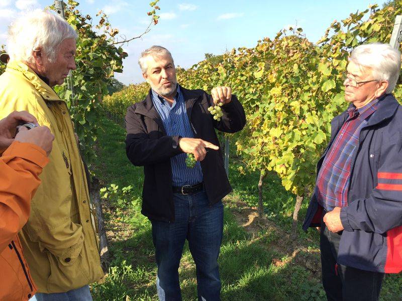 active-power-2015-164