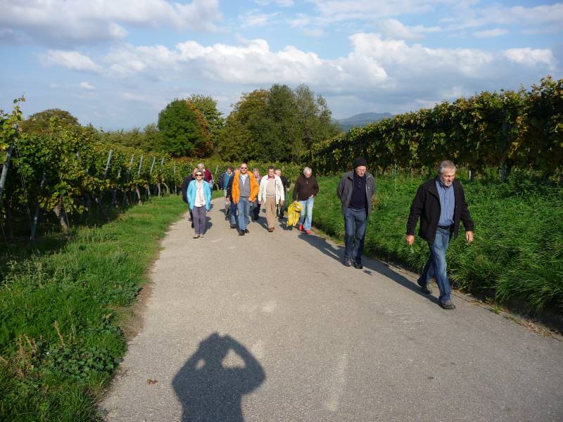 active-power-2015-165