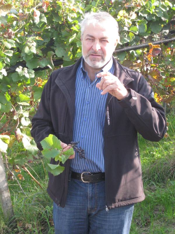 active-power-2015-166