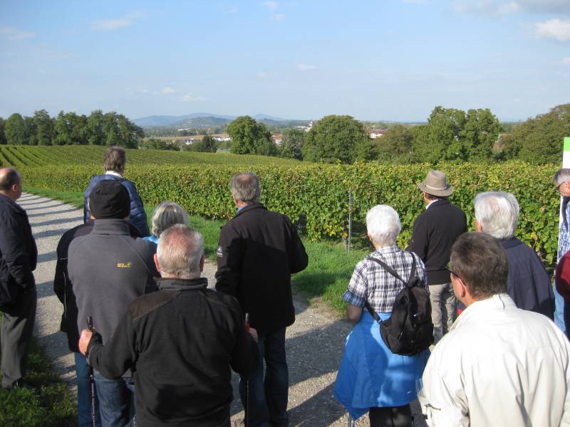 active-power-2015-167