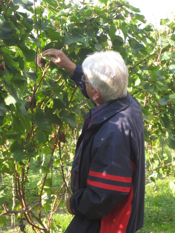 active-power-2015-168