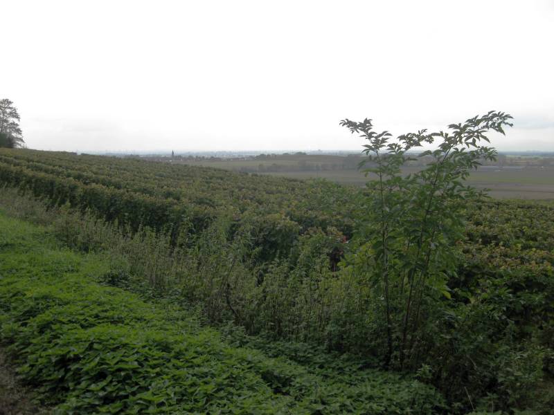 active-power-2015-170