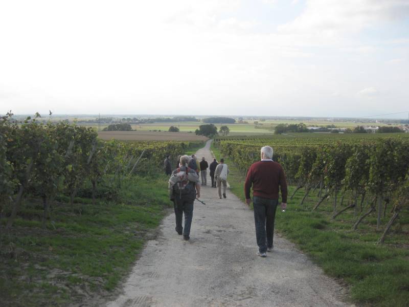 active-power-2015-171