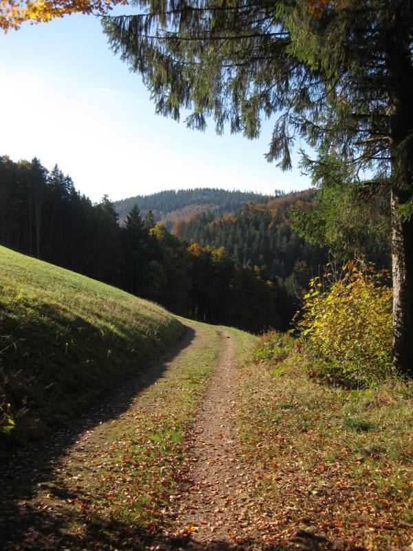 active-power-2015-183